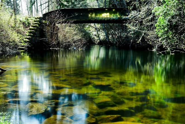 William Rivers Park - Image 3