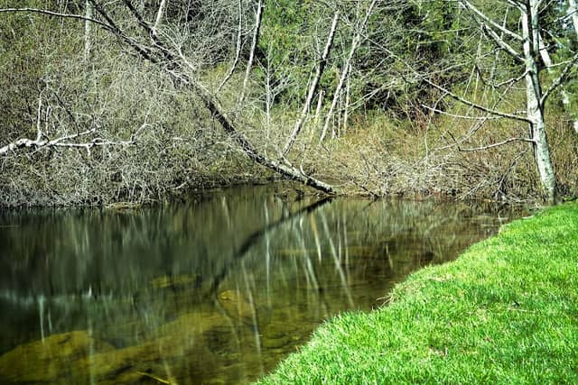 William Rivers Park - Image 1