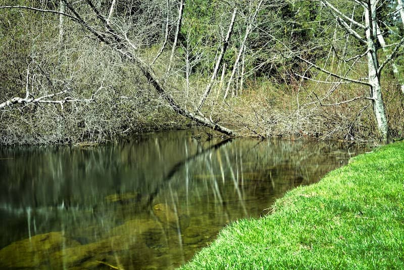 William Rivers Park - Image 1