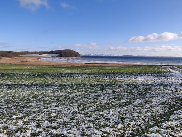 Havskov - Image 1