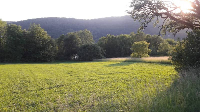 Fuchsenloch Nature Reserve - Image 1