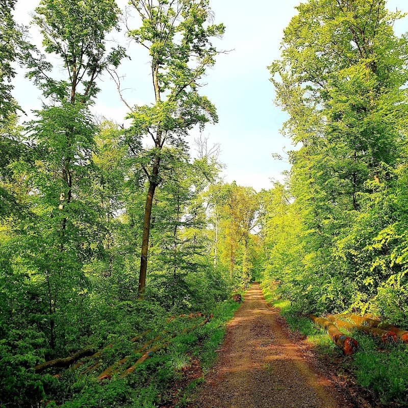 Fuchsenloch Nature Reserve - Image 2