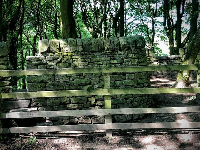 Tipping Hill Wood - Image 1