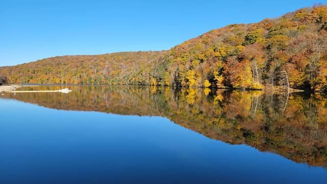 Laurel Hill State Park - Image 2