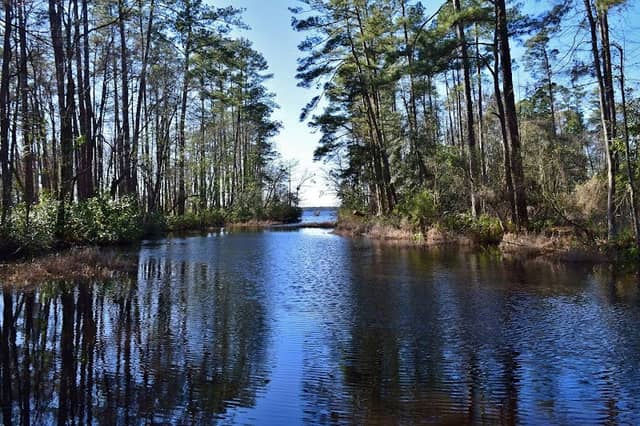 Singletary Lake State Park - Image 1