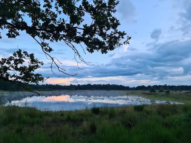 Landschotse heide - Image 1