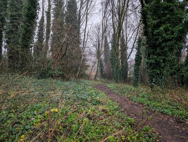 Mill Brow nature reserve - Image 1