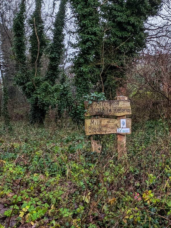 Mill Brow nature reserve - Image 2