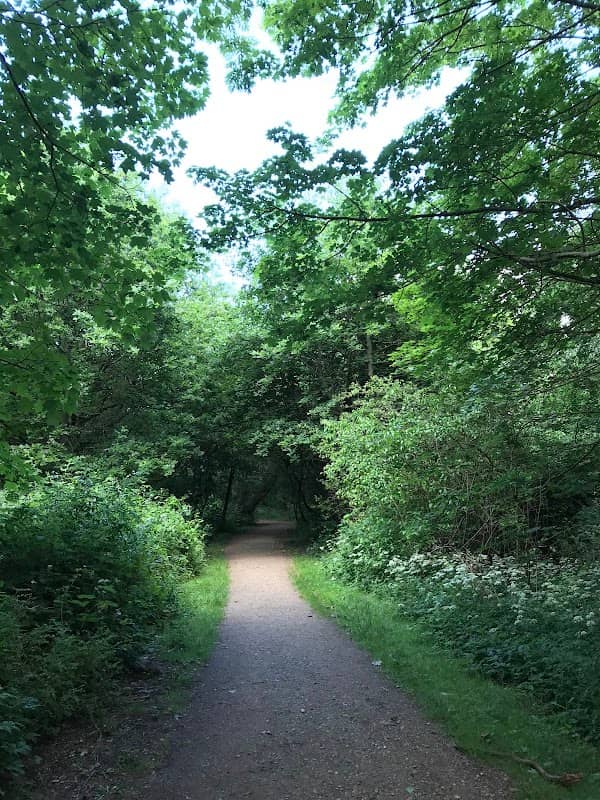 Fritz-Lauritzen Park - Image 1