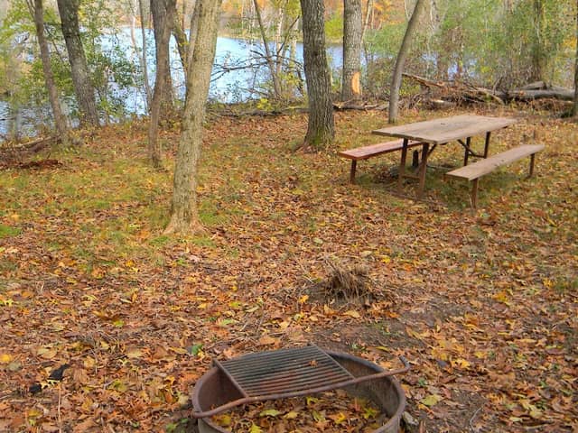 Mallard Point Remote Canoe-in Campsite - Image 2