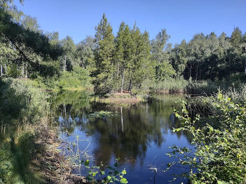 Vaniljekranssø - Image 1