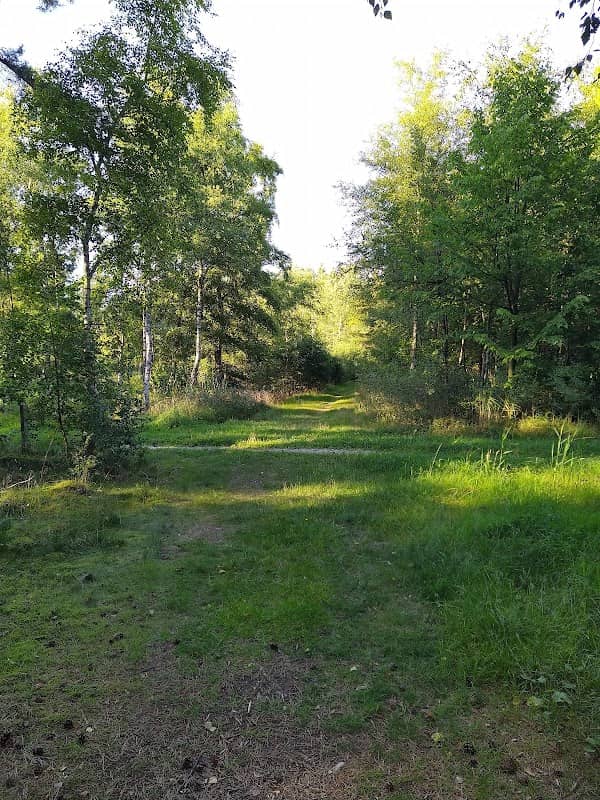 Vaniljekranssø - Image 2
