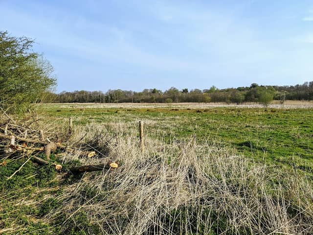 NWT Rushmeadows - Image 2