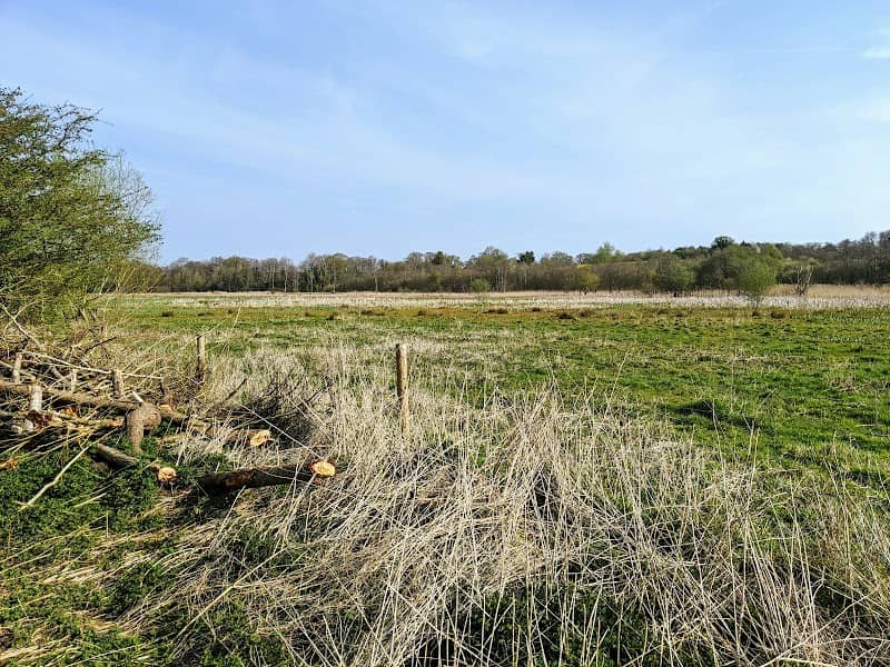 NWT Rushmeadows - Image 2