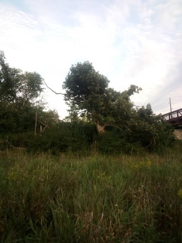 Morgan Creek Campground - Image 1