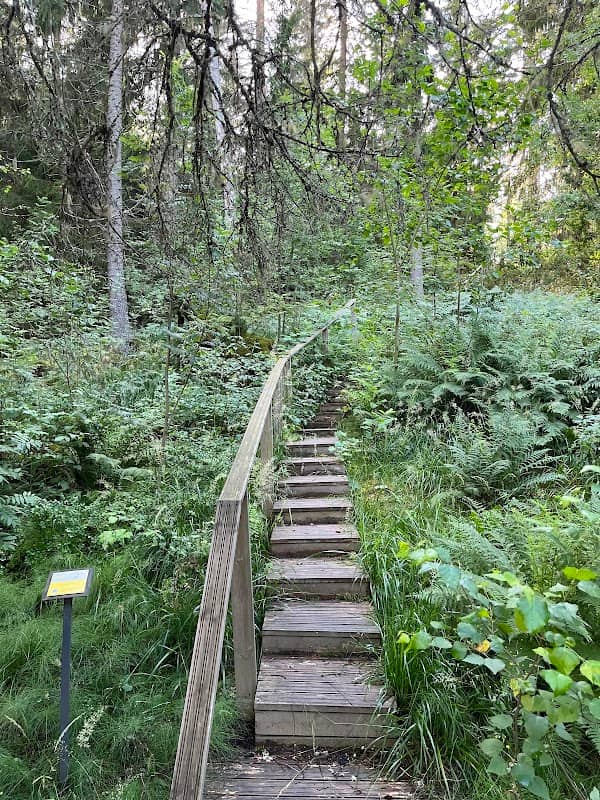 Eura Kauttua Castle Hill - Image 2