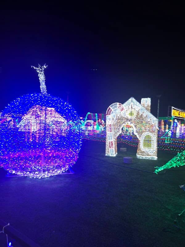 Florence Y’all Christmas Lights - Image 1