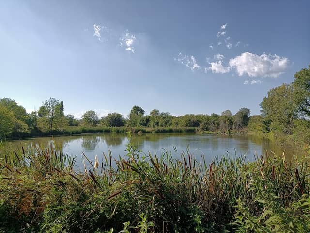 Oasi Paradès - Image 1