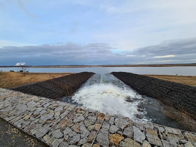 Einlaufbauwerk Cottbuser Ostsee in Lakoma - Image 2