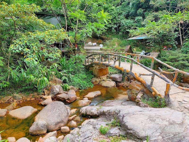 Lựng Xanh - Image 1