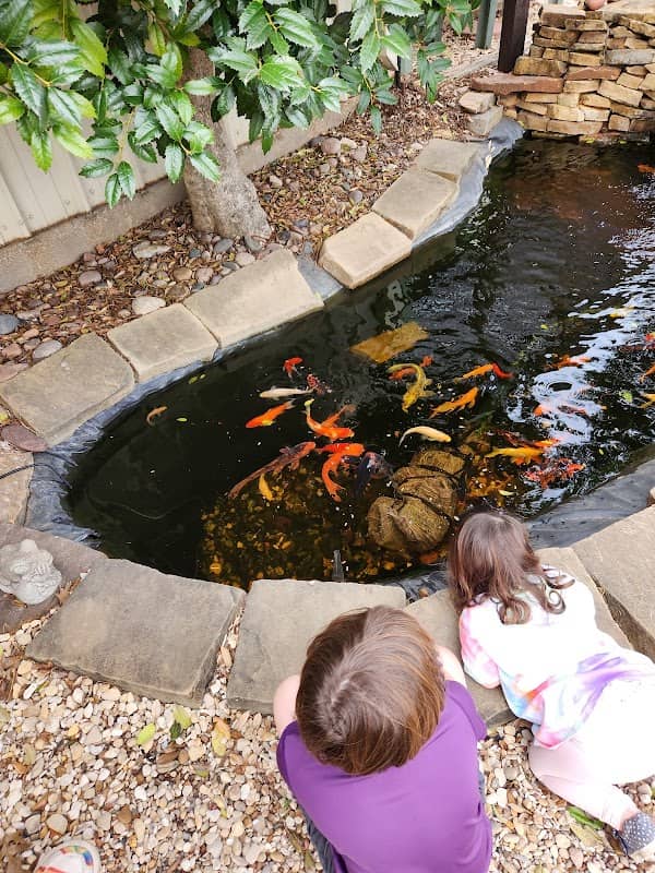 Barrera's Nursery and Landscaping - Image 1