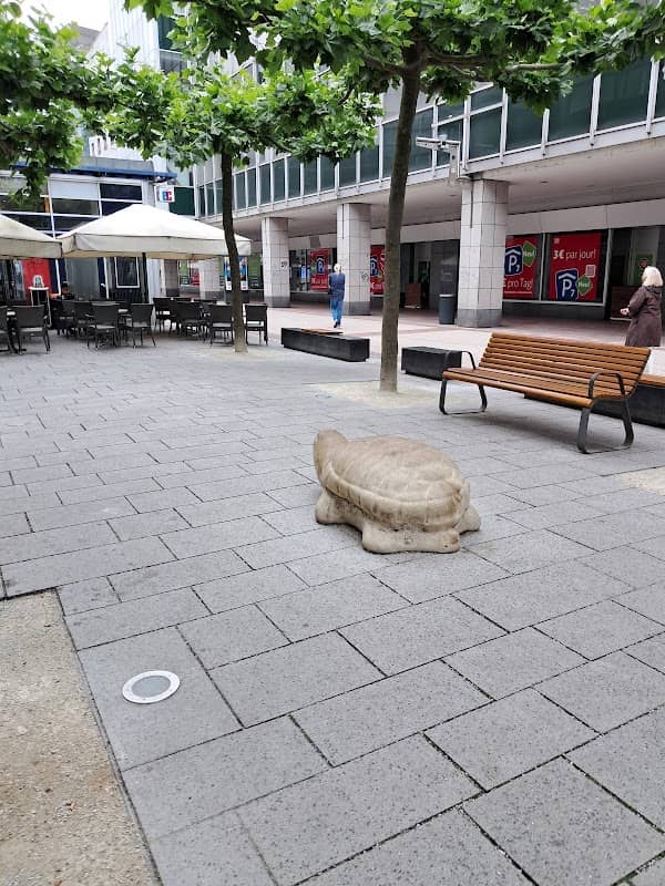 Schildkröte Skulptur - Image 2