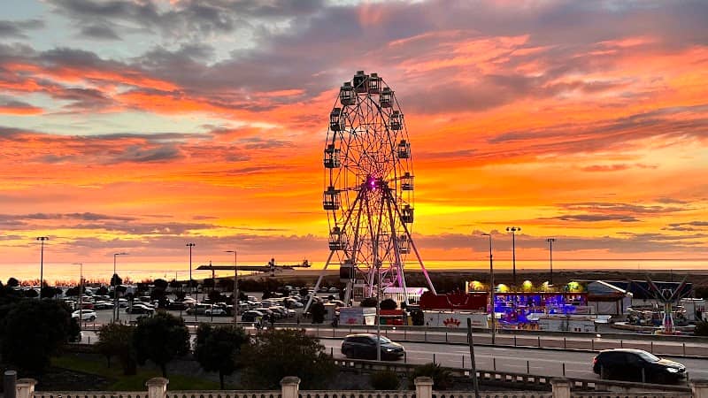 Figueira Eye - Image 2