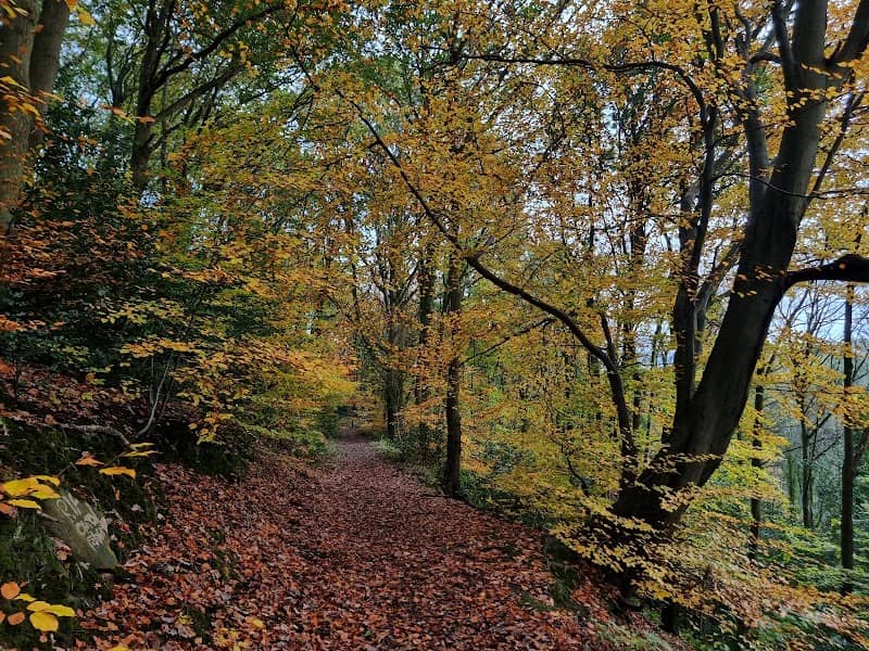 Moss Valley Country Park - Image 2