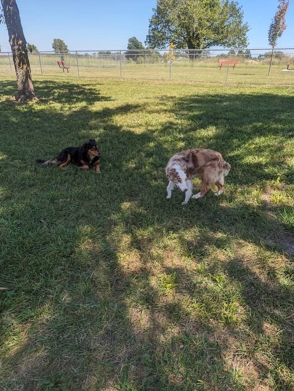 Jeanne’s Park - Image 1