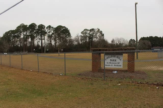 College Hill Park - Image 1