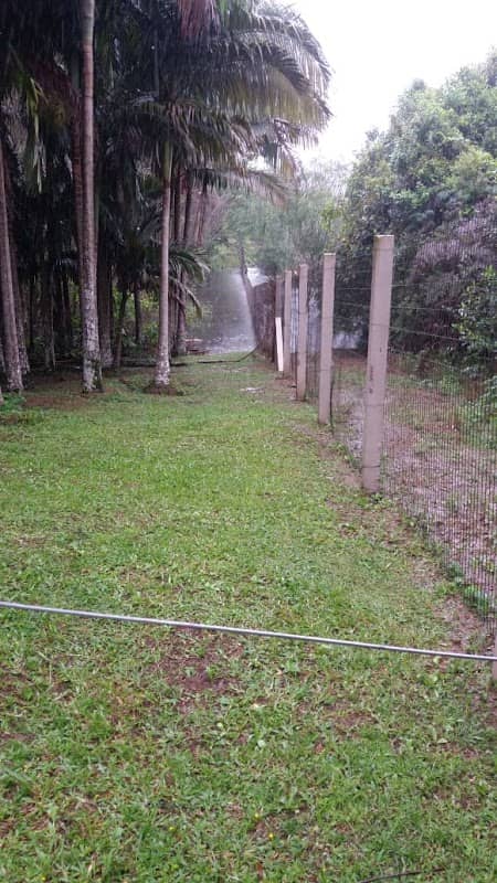 Parque Campos Novos - Image 2