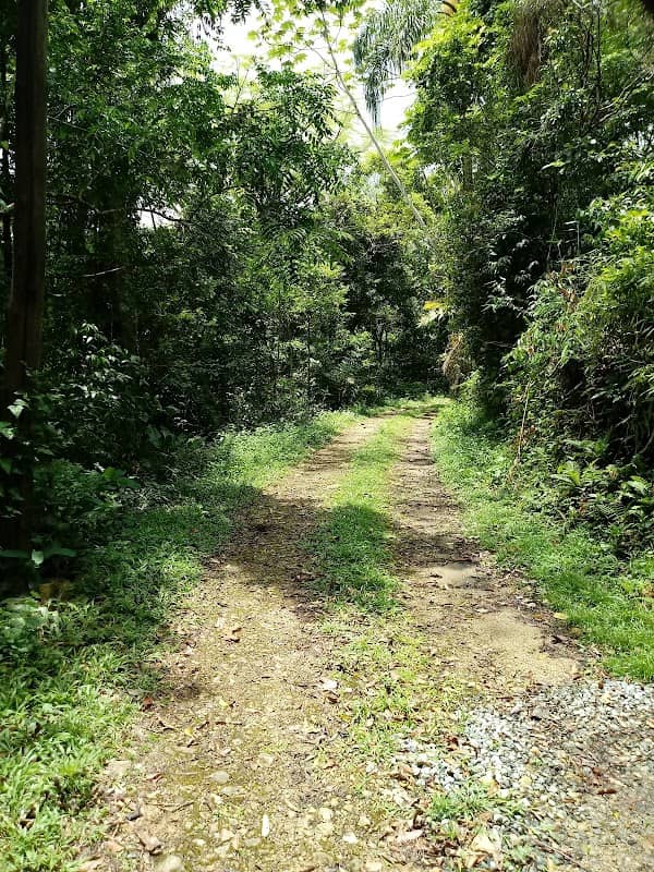 Parque Campos Novos - Image 1