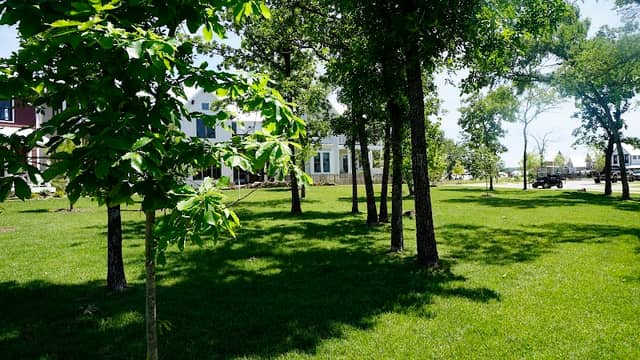 Redbud Park - Image 2