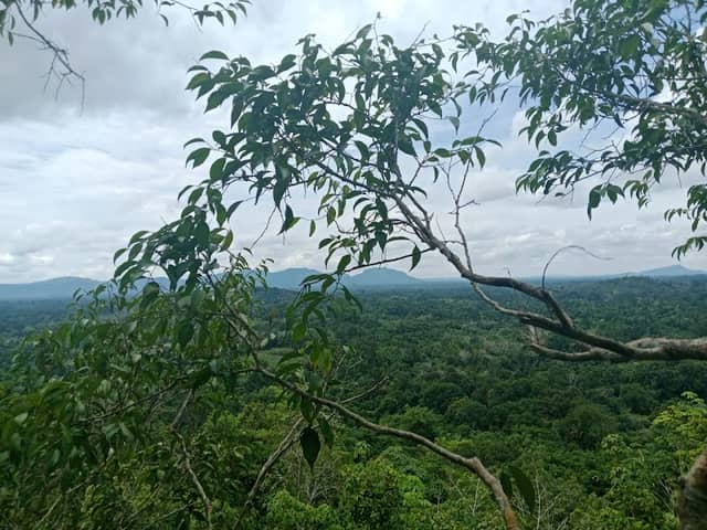 Bukit Mhebung, Desa Gurung - Image 1
