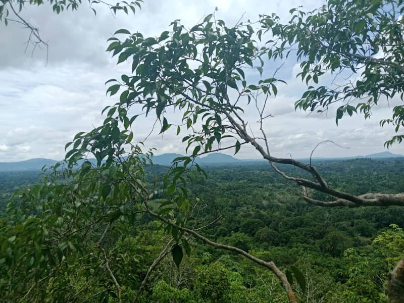 Bukit Mhebung, Desa Gurung - Image 1