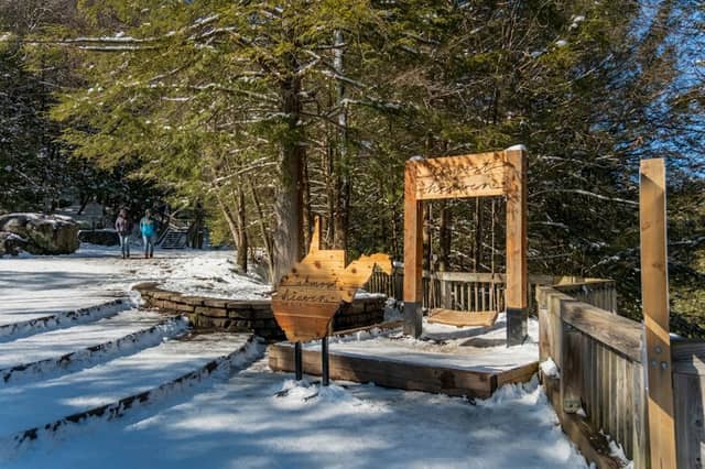 Almost Heaven Swing at Blackwater Falls State Park - Image 1