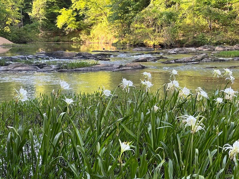 The Mill at Spider Lily Falls - Image 1