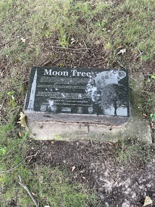 Apollo 14 Moon Tree - Image 2