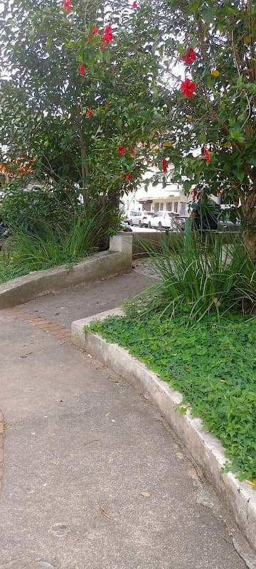 Praça Castelo Branco - Image 1