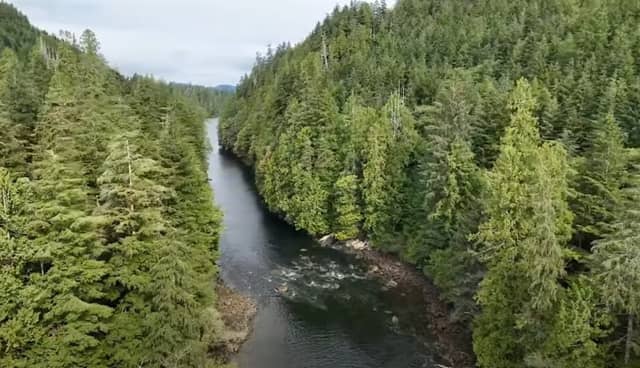 Kennedy Cove - Image 3
