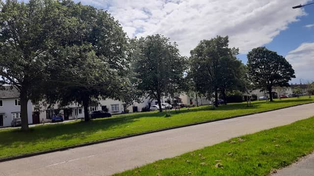 Blenheim Park - Image 2