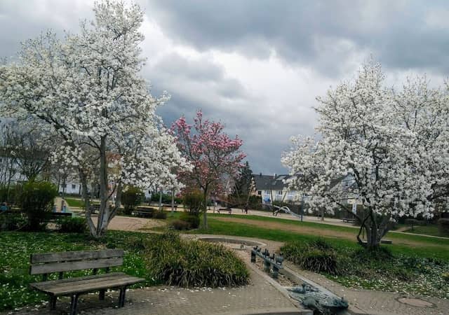 Entensee Park - Image 2