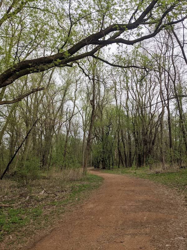Cottontail Park - Image 2