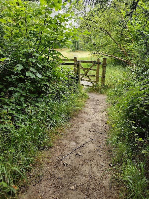 Woodwell cliff - Image 1