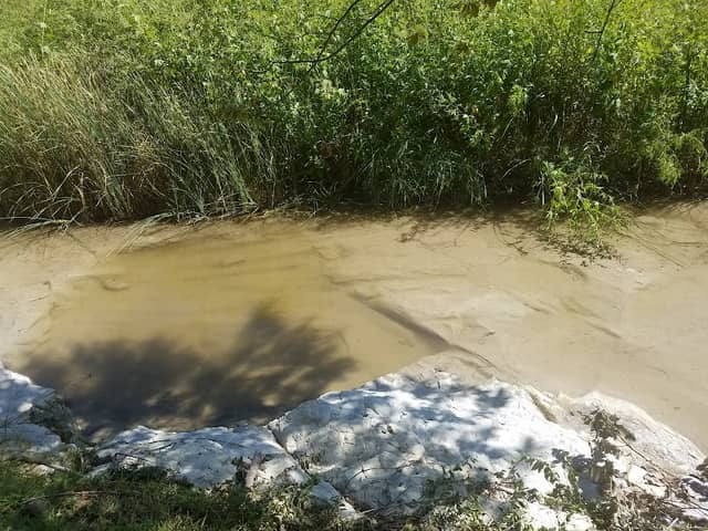 McKamy Springs - Image 2