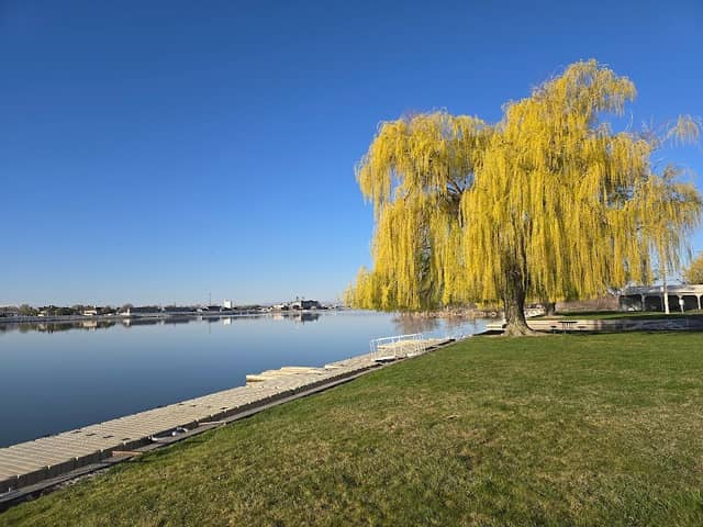 Lex Kunau Park - Image 2