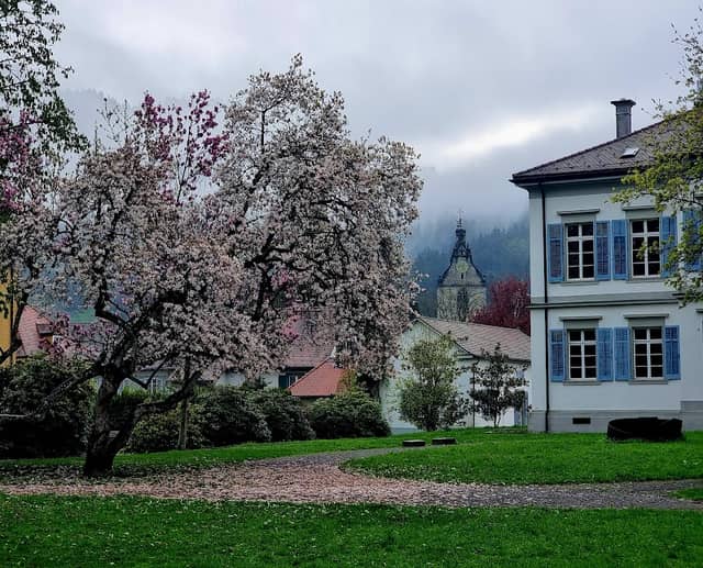 Thurn und Taxis Park - Image 2