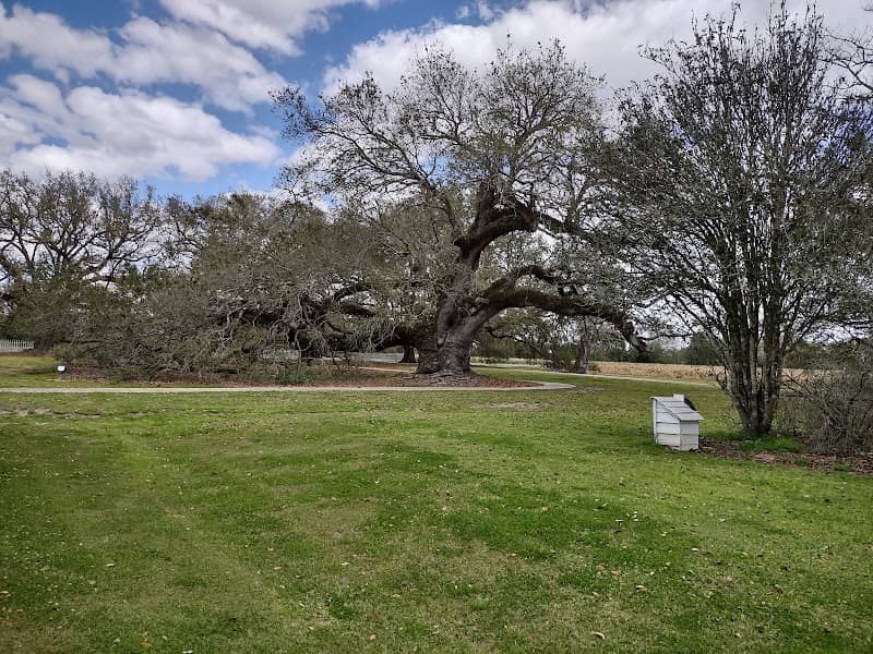 E.D. White Historic Site - Image 3