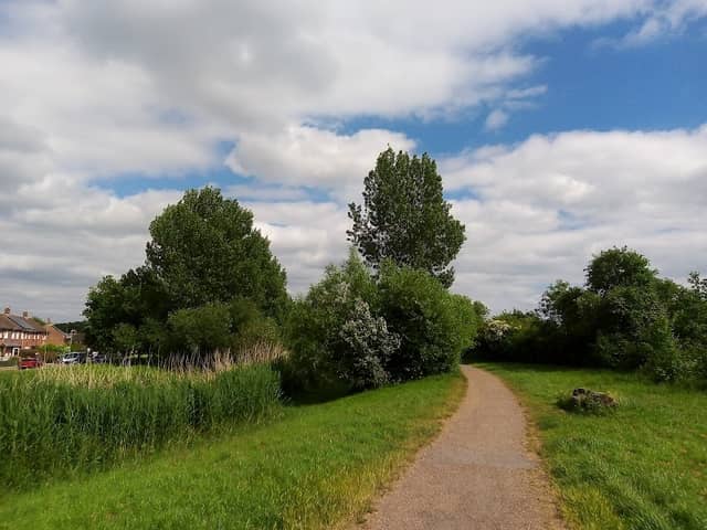Ramsdale woods - Image 2