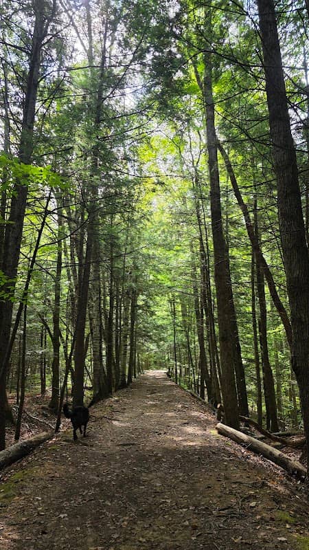 Lye Brook Falls Trailhead - Image 2
